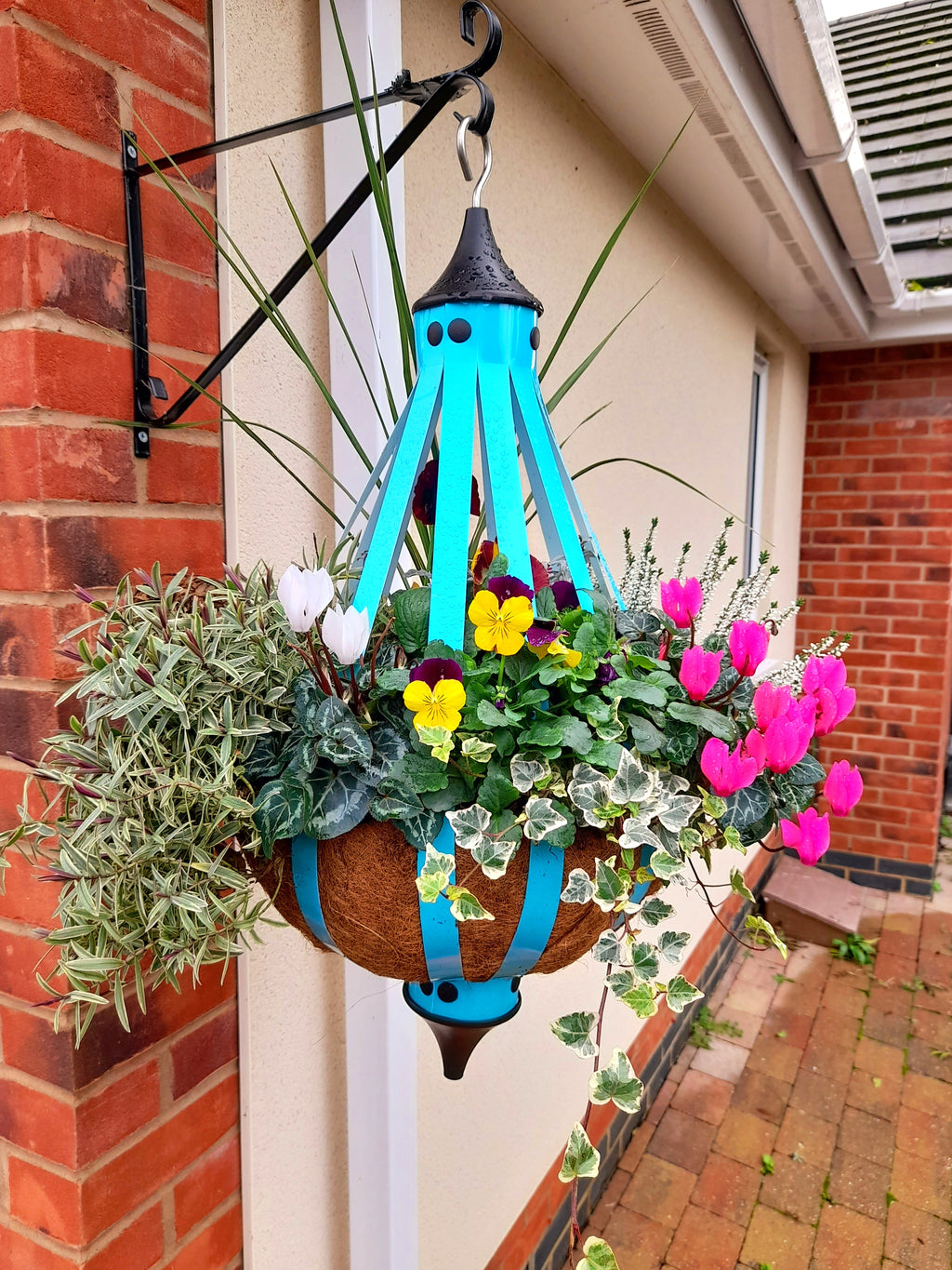 Autumn Single Plantern Basket 14inch (35.5cm) Fuchsia Pink planted