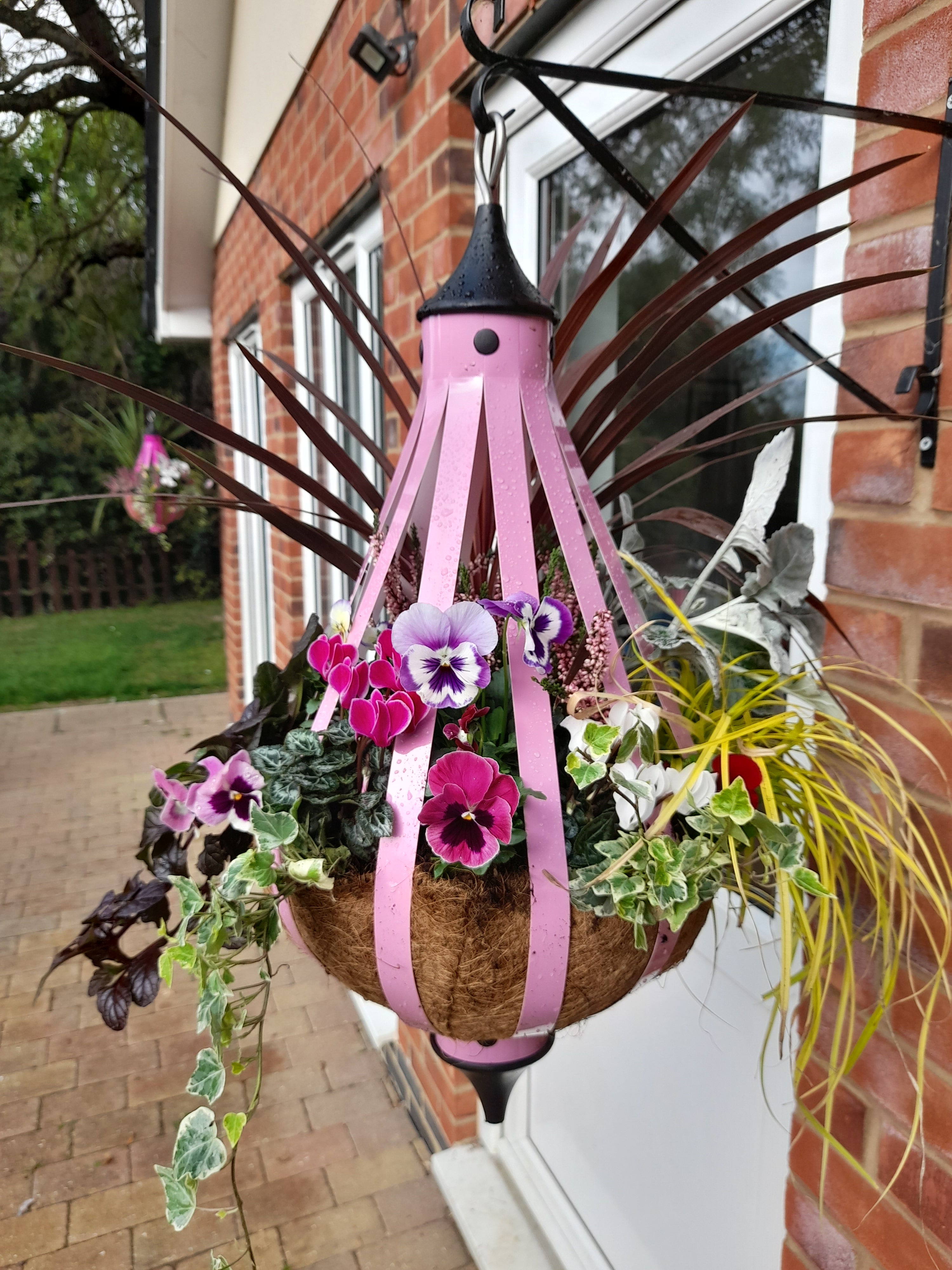 Autumn Single Plantern Basket 14inch (35.5cm) Candy Pink planted
