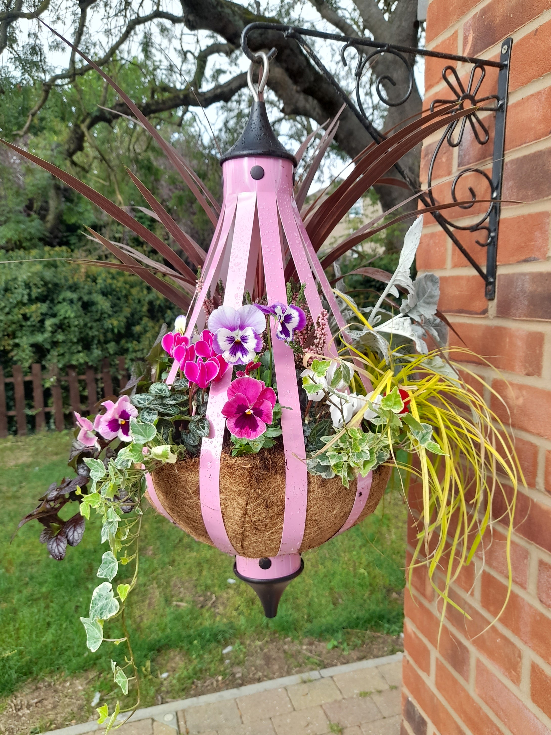 Autumn Single Plantern Basket 14inch (35.5cm) Candy Pink planted