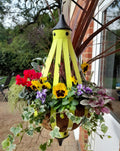 Autumn Single Plantern Basket 14inch (35.5cm) Primrose Yellow planted