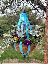 Load image into Gallery viewer, Autumn/Winter Single Plantern Basket 14inch (35.5cm) planted Forget me not Blue