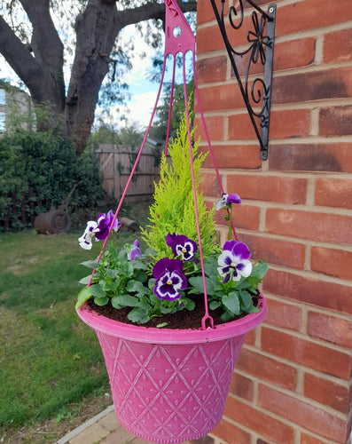 Pastel Pink hanging pot 12inch (30 cm)