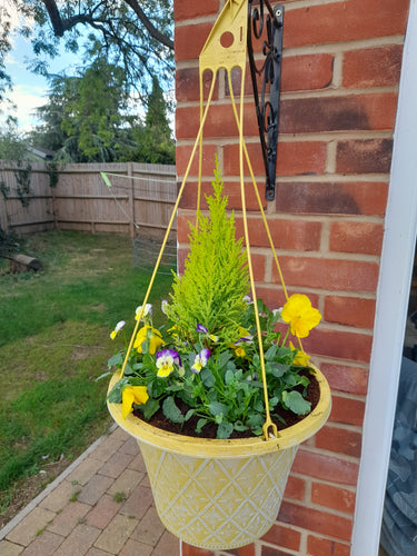 Pastel Yellow hanging pot 12inch (30 cm)