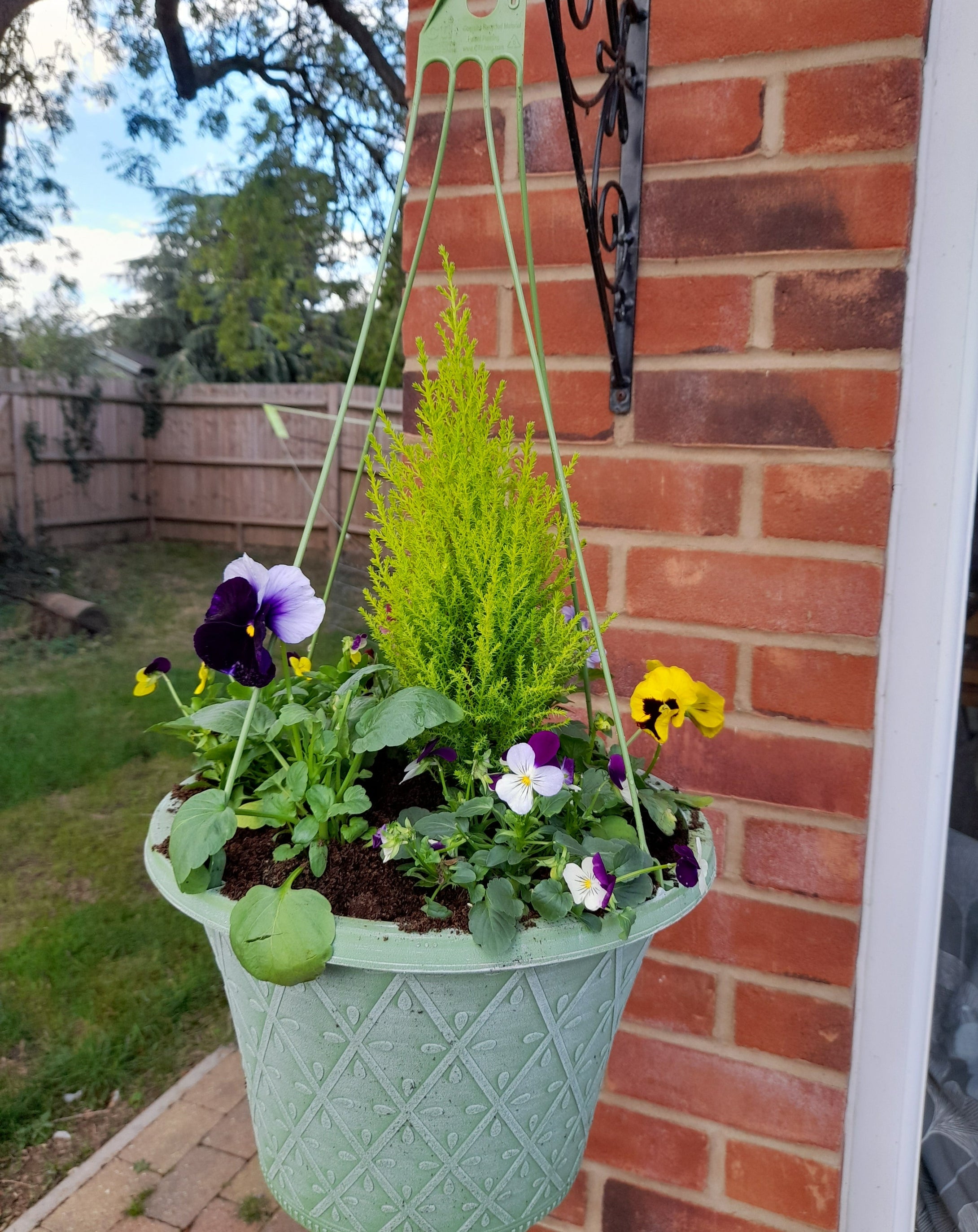 Pastel Green hanging pot 12inch (30 cm)