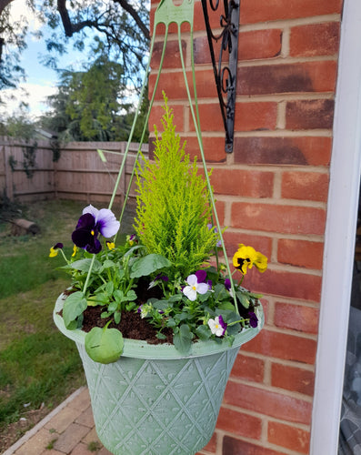 Pastel Green hanging pot 12inch (30 cm)